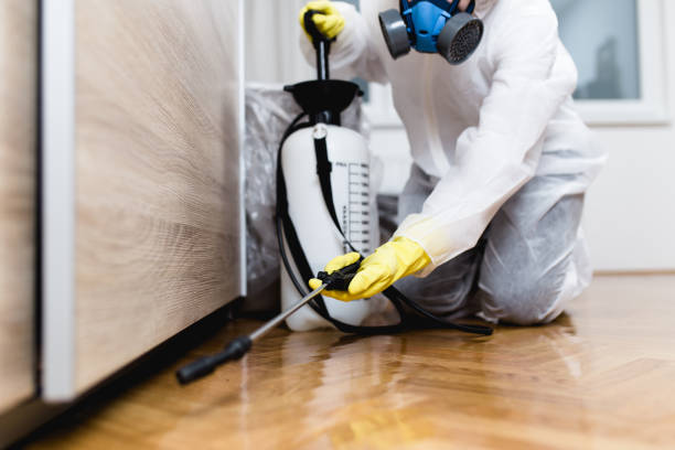 Best Residential Pest Control  in Delta, CO