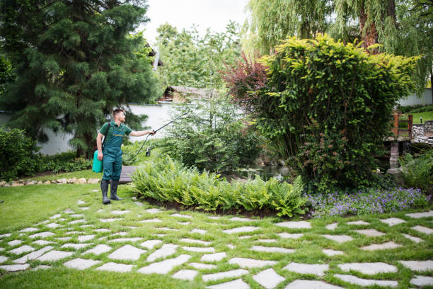 Best Exterminator Services  in Delta, CO