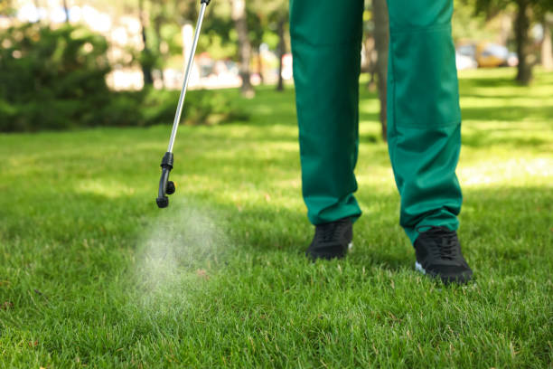 Insect Control in Delta, CO