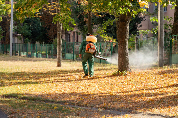 Best Emergency Pest Control  in Delta, CO